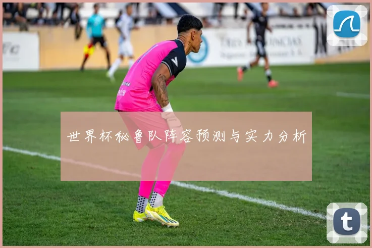 世界杯秘鲁队阵容预测与实力分析